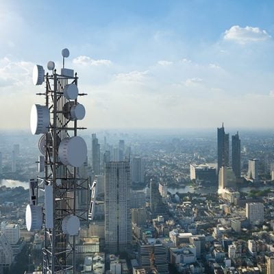 Environmentalists and Scientists on How Cell Towers and 5G Risk Tree Health