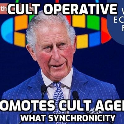 Pandemic is chance to reset global economy, says Prince Charles