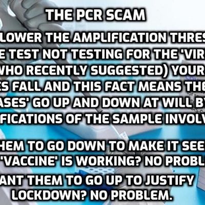 The lies just got quicker: Rapid PCR test that checks for Covid, flu and RSV at the same time and gives results in half an hour could be rolled out in NHS this winter to tell you what you have when the test doesn't know