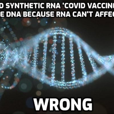 Inventor of mRNA vaccines, Dr Robert Malone, told to hire security due to risk of being assassinated