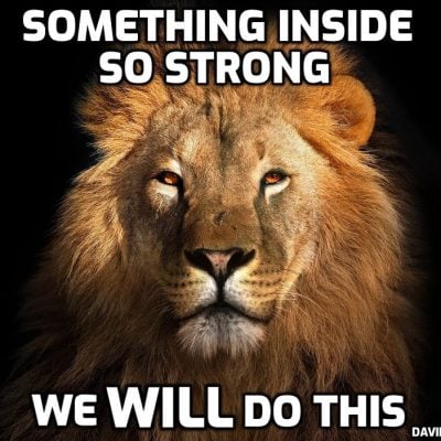 Top 10 David Icke Quotes - Gracious Quotes