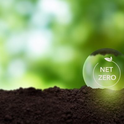 Green Billionaires Fund Influential New Labour Net Zero Group