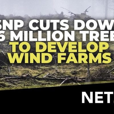 Scottish Government Approved Cutting of Almost 16 Million Trees (So Far) for Wind Turbines