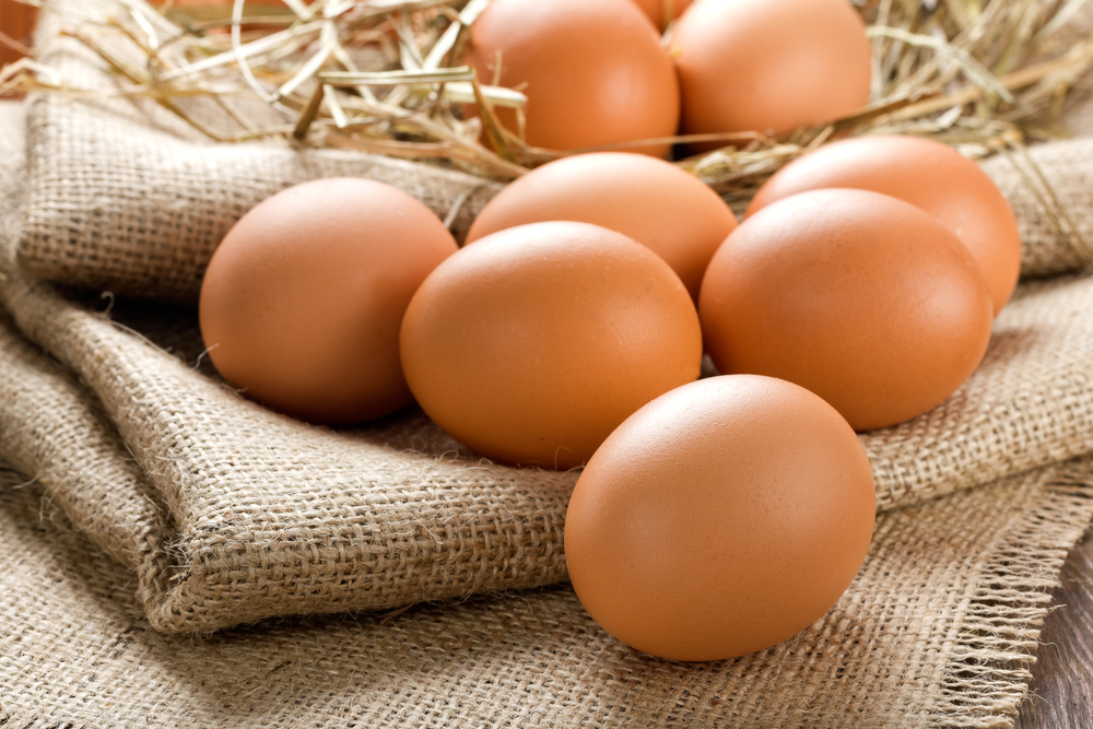 Be sure that eggs are eggs