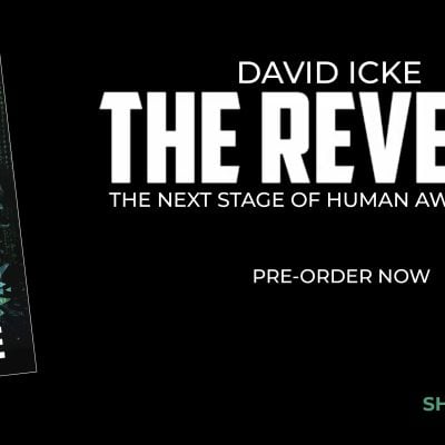 What is 'The Matrix'? What is 'The Trap'? Pre-Order 'The Reveal' - Now!