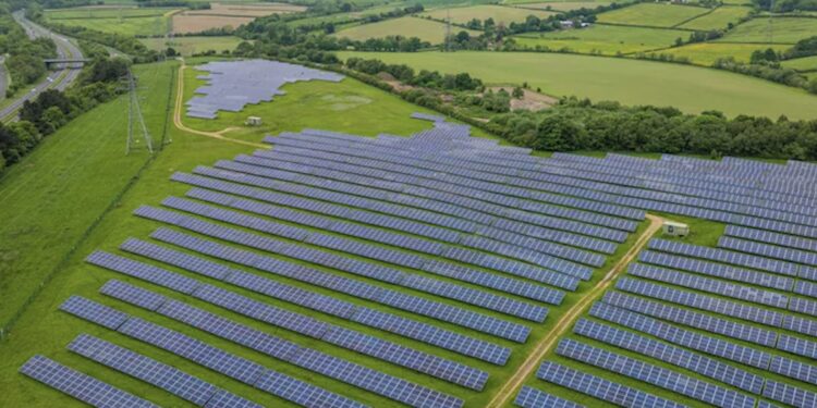 UK Farmers Turfed off Prime Land As Net Zero Gold Rush Grips Landowners