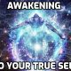 What’s the answer? Awakening from the Dream. Awakening from the Phantom Self. Who are we? Awareness – a state of being aware. But how aware do we allow ourselves to be?