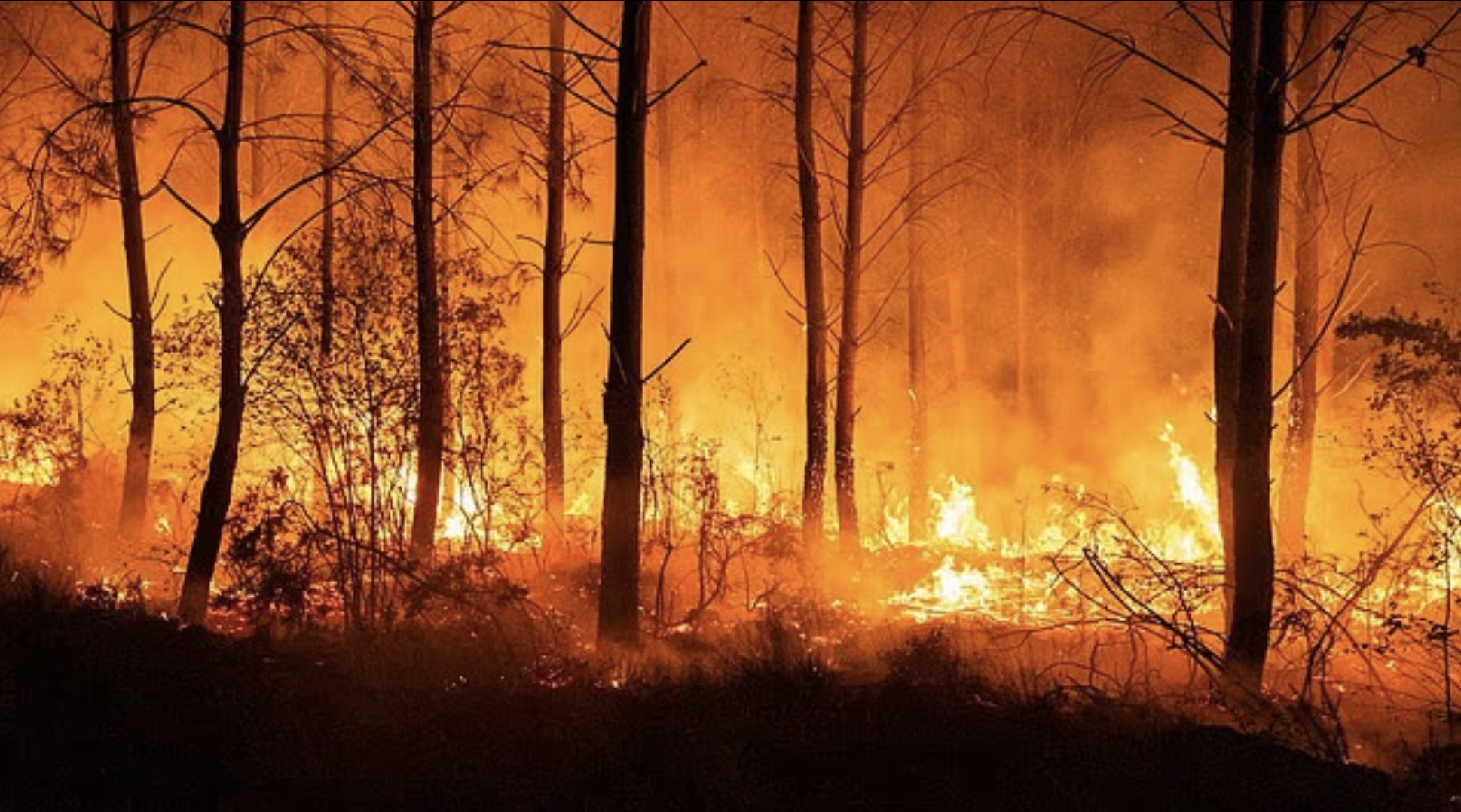 First wildfire death in Spain as blazes ravage Europe – with 270,000 people forced from their homes and France sends in the military
