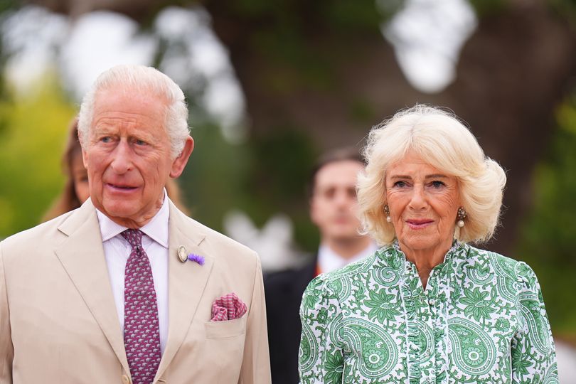 MPs set to agree £100million grant to King Charles as critics blast ‘royal rip off’