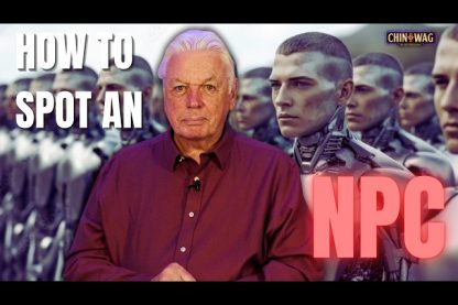 How To Spot an NPC…